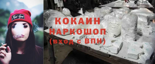 крисы Аркадак