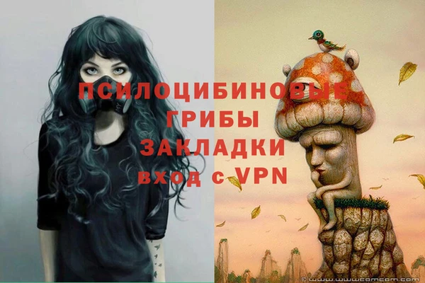 крисы Аркадак