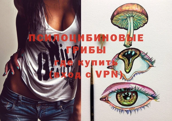 спиды Армянск