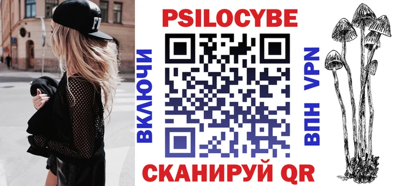 Псилоцибиновые грибы Psilocybe Долгопрудный