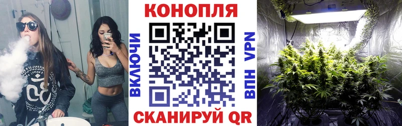 наркота  Долгопрудный  Конопля конопля 